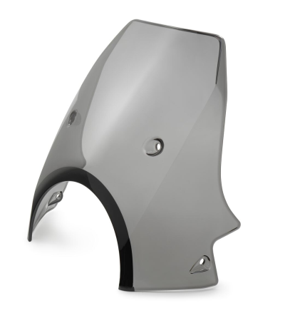 22108008100-WINDSHIELD