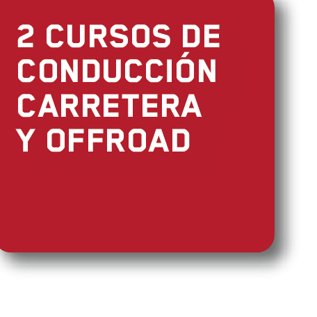 20_cursos