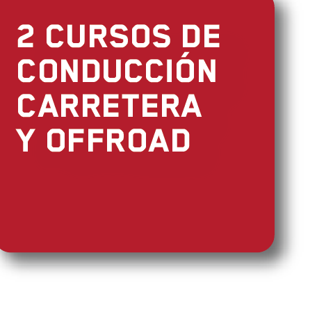 20_cursos